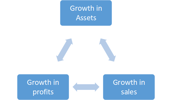 firms-growth-cycle